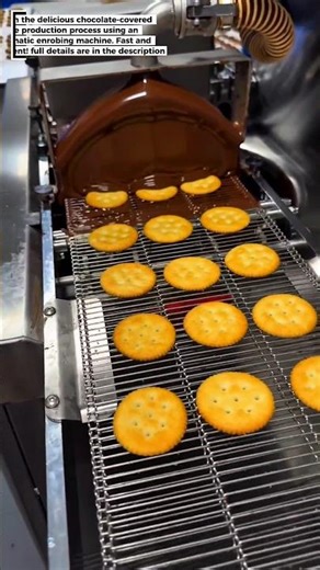 Chocolate-Covered Cookie Production Process with Automatic Enrobing Machine