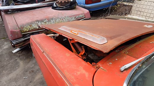 35K views · 908 reactions | While visiting some friends with barns full of cars, this 1969 Plymouth Road Runner convertible sat outside. I've had a bunch of problems with Facebook this week. I wonder if anyone else has? I can not access my comments through the PC, only through my phone for some reason. | The Auto Archaeologist | Facebook