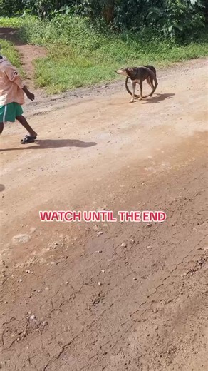 INVENTOR UG (@inventor.ug2)’s videos with original sound - INVENTOR UG