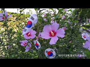 대한민국 상징~태극기와무궁화