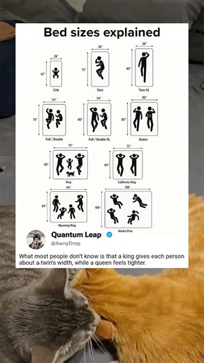 Bed sizes explained