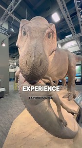 31K views · 282 reactions | Don’t let this incredible opportunity...