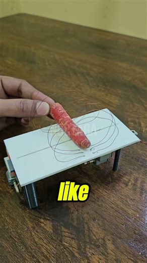 I Thought This Cockroach Trap Was a Joke (It Wasn’t)