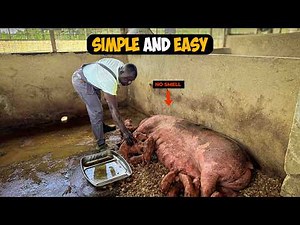 Pig Farming Explained: The Complete Guide To Starting & Scaling Your Business in 2025! #pigfarming