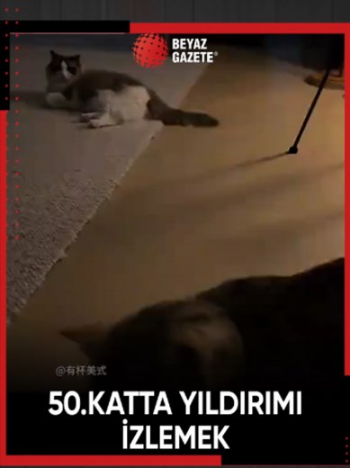 Çin’deki bir gökdelenin 50. katından yıldırımları izlemek…