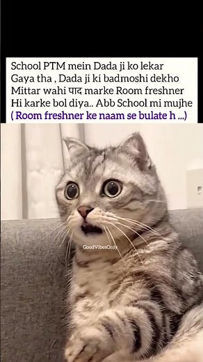 Room freshner #tweetreels#aesthetic #lofichill#brokenheart#sadquotes#lofimusic#thoughts#reels #memes