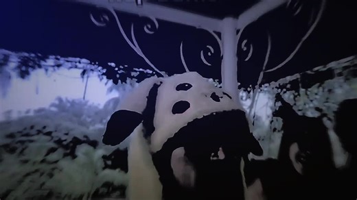 Exploring Ashley Bars and Anoxic Trippings