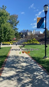 Falling for campus vibes 🍂✨ What’s your favorite thing about autumn? #falloncampus #snhuoncampus #nh #beauty | Southern New Hampshire University - On Campus