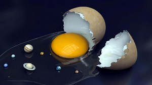 Creation VS. Evolution 2