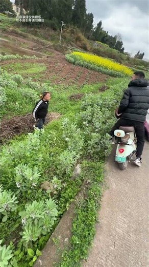 Incredible Driving Skills! Hilarious Ending Unleashed