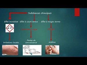 Séquence 1 COURS LE RISQUE CHIMIQUE