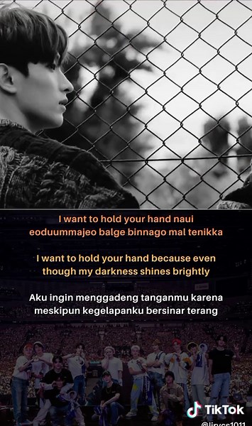 Shadow - SEVENTEEN Lyrics and Performance