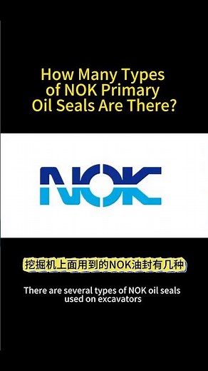 How Many Types of NOK Primary Oil Seals Are There? #excavator #nok #excavatoroilseal