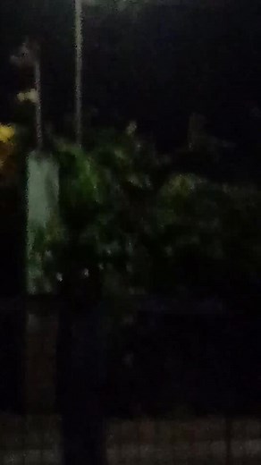 Update sa bagyong Uwan as of 7:22pm Lord🙏iligtas mo kami sa bagyong ito pahinain mo po ang hangin. #highlightseveryonefollowers | Violeta Muñoz Doktor