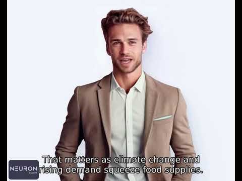 AI boosts farming efficiency and yields, but risks widening gaps