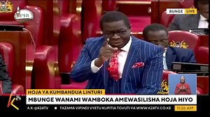 The fake fertilizer racket is bigger than the Goldenberg Scandal. You were warned by Leader of Minority Opiyo Wandayi that it's about to go down. | Gabriel Oguda