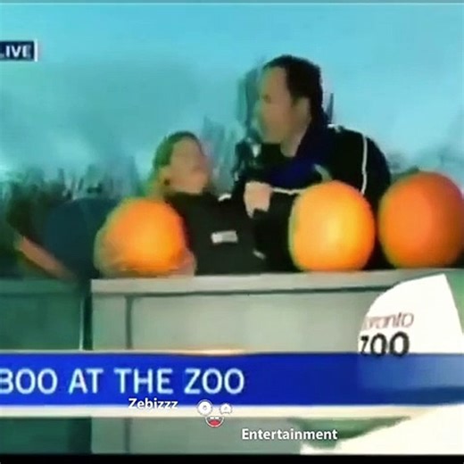 weather man funniest fail