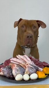 Follow & Share to get more our videos😂 Pitbull eating raw foods#Mukbang #asmr #viral | Fern Reynolds