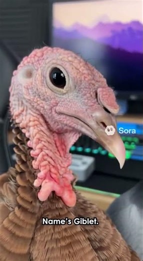 Goonite the saga 3:A new friend giblet