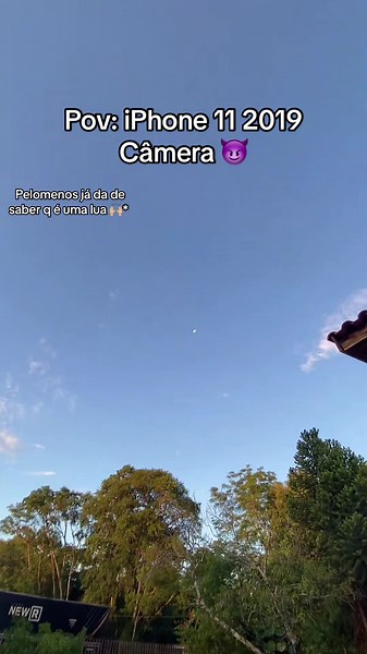 Exploring the Zoom Capability of iPhone 11 Camera