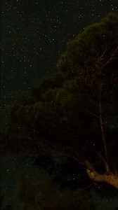 Summer Night ASMR: Crickets & Starry Night Sky | Healing Sleep Sounds | ASMR shorts