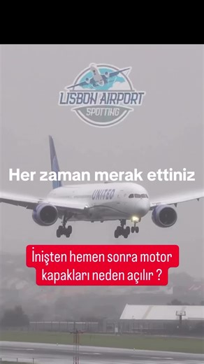 Discovering the Meaning of Viyana's Name