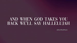 28K views · 3.4K reactions | Supermarket Flowers | Ed Sheeran -Donna | DarkRed Music | Facebook