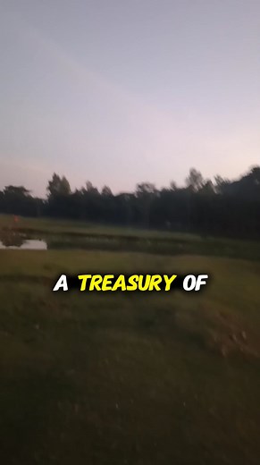 A random, unplanned video on my home ground, exactly one year later. Sometimes the best memories are the spontaneous ones. So good to be back! 💚 | Sayed's English & study abroad