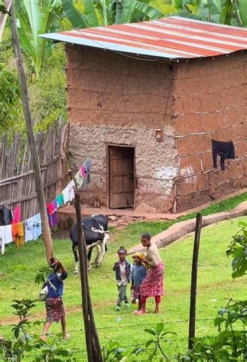 My beautiful Ethiopia 🇪🇹 #ሀገራችንን_ሰላሟን_ይመልስልን🇪🇹🇪🇹🇪🇹🇪🇹 #explorewithmiriam #fypシ゚ #AdventureTrip #HiddenEthiopia #habesha🇪🇹 #ExploreEthiopia #HikingAdventure #HiddenGems