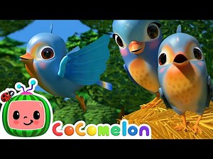 Five Little Birds | Baby Animals For Kids | CoComelon Animal Time - Videos For Kids