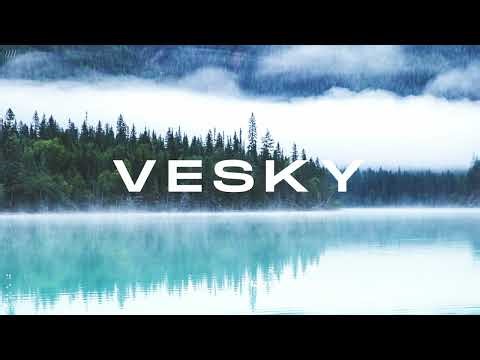 This is vesky | vol. 14 | Chillstep & Future Garage mix