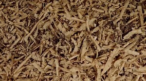 Log card box for collecting all the cards for your birthday, wedding, or other event in a rustic real wood card box that's made from an old log. Mikeasaurus is getting married and he made this special card box for the occasion. Congratulations Mike! http://www.instructables.com/id/Log-card-box/ | Instructables