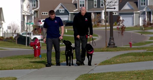 Service dogs offer comfort, companionship to Minnesota veterans