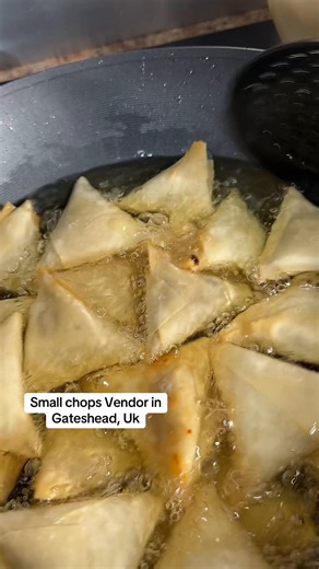 Best Samosa and Spring Rolls in Newcastle