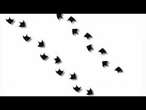 Remastered Duck Scene From Baby Dolittle Neighborhood Animals 2001