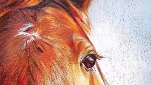 Beautiful Gifs. on Reels