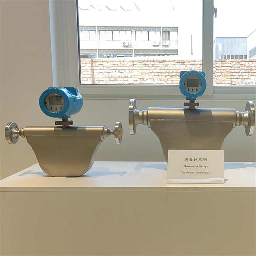 Proline Promass F300 Coriolis Flowmeter Explosion Proof Antiexplosivo External Micro Motion Mass Flow Meter for H2S Water Air