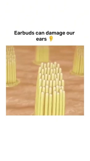 Science Says: Earbuds Aren’t Always Safe #shorts #health #science #shorts #how