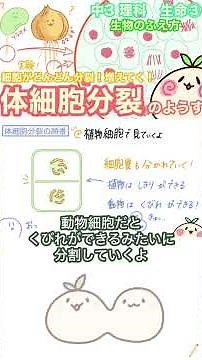 Somatic cell division! #Ponyon Junior High School Science Anime