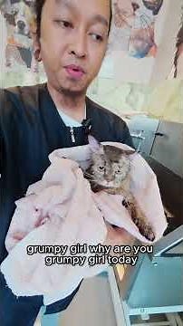 Chairo is a little grumpy today 😾