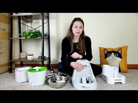 Top 5 Best Cat Water Fountains (We Tested Them All)