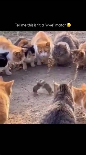 #fun # comedy #adventuretime #amzing #smiling# faces