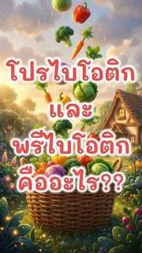 โปรไบโอติก vs พรีไบโอติก คืออะไร? #มีสาระ #cartoon #สุขภาพ