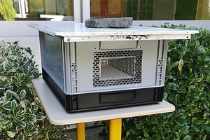 Jabeprode : un apiculteur breton invente un piège à frelon asiatique et gagne la médaille d'or du concours Lépine