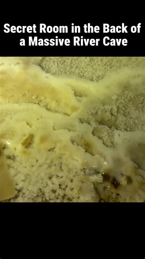 Secret room in the back of a massive river cave #cavechronicles