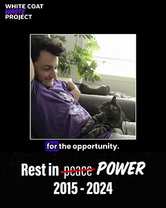 Sold to the fed's largest cat laboratory, ‘Lil Petite’ weighed only 4.9 lbs. But she leaves a BIG legacy. Thousands perished inside the U.S. government's "Kitten Slaughterhouse," until this tiny cat changed the world. This is a true story. | White Coat Waste