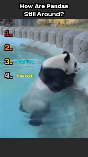 How Are Pandas Not Extinct?