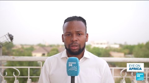 Chad's former Prime Minister taken into custody, party official says