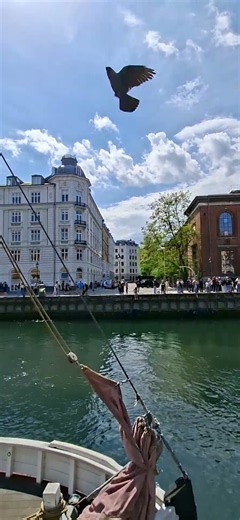 丹麥哥本哈根Stromma | Canal Tours Copenhagen from Nyhavn | Departure Pointデンマーク・コペンハーゲン덴마크 코펜하겐