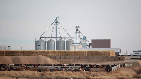 Town of High River, residents, hope to overturn approval of biogas facility next to feedlot